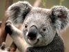 Lorem ipsum dolor sit amet, consectetur adipiscing elit. Donec vitae dapibus lectus.